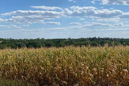 Громадам Днепропетровщины вернули земли стоимостью более 38 млн грн