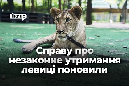 Незаконное содержание львицы в Кривом Роге: дело снова рассматривает суд