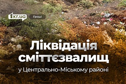 Кто и за сколько будет убирать свалки в одном из районов Кривого Рога