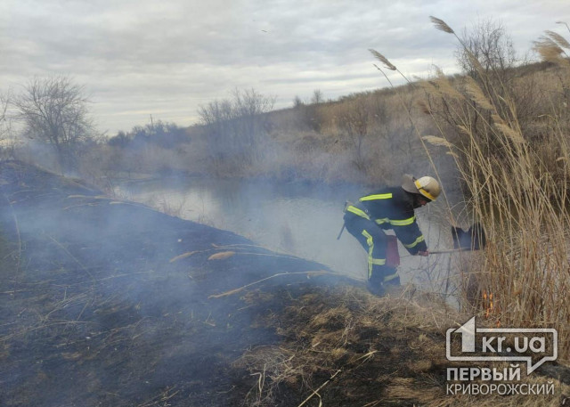 З початку війни у Дніпропетровській області зафіксовано 999 загорянь в екосистемах