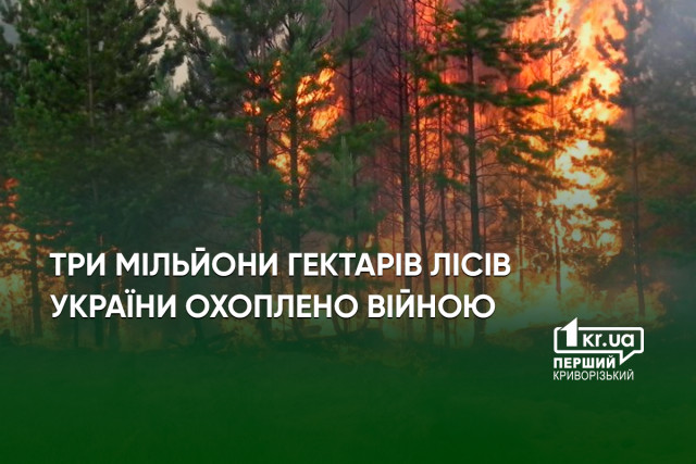 Около полувека восстановления: последствия войны для лесов Украины