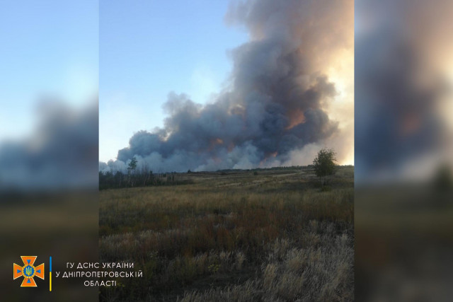 Масштабный пожар: в Новомосковском районе горит лес