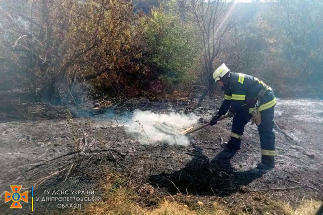 В Кривом Роге спасатели ликвидировали возгорание сухостоя