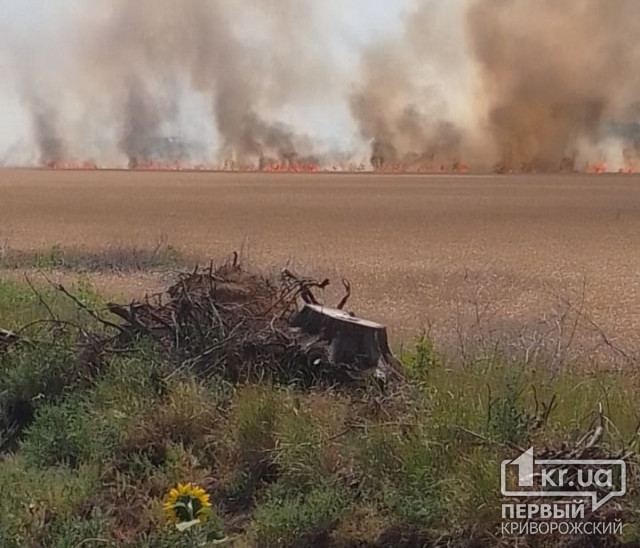 Около 400 га полей с посевами уничтожены на Днепропетровщине в результате боевых действий
