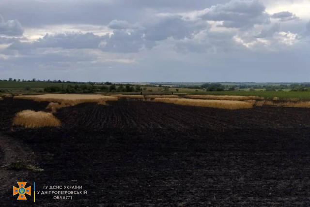 В Криворожском районе сгорело 3 гектара поля с пшеницей