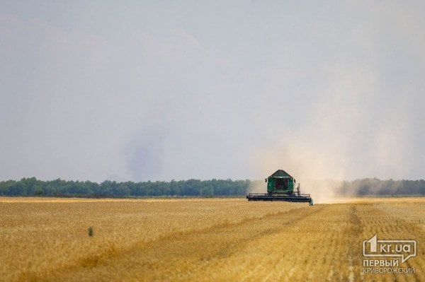 Аграрії Дніпропетровської області вже зібрали 24% зернових