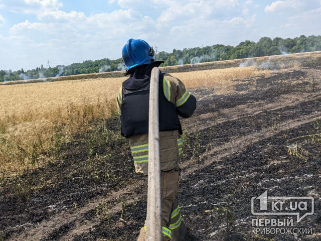 В результате обстрела сгорело почти 5 га полей с пшеницей в Криворожском районе