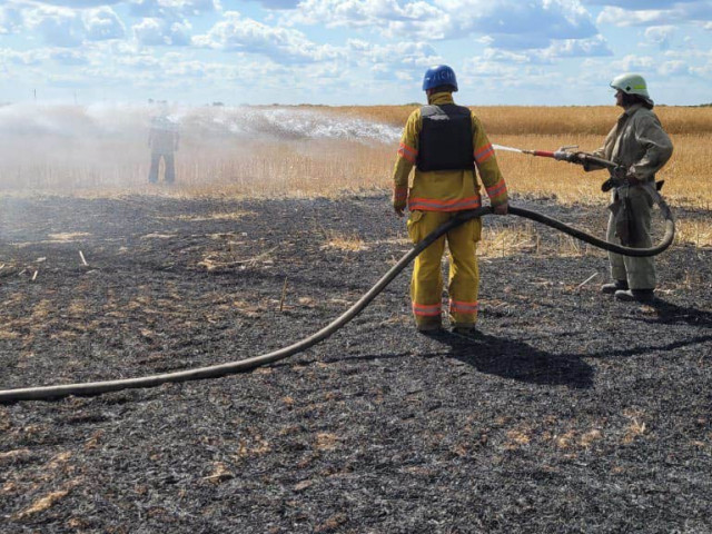 Днем враг обстрелял Криворожский район: сгорело 50 гектаров полей