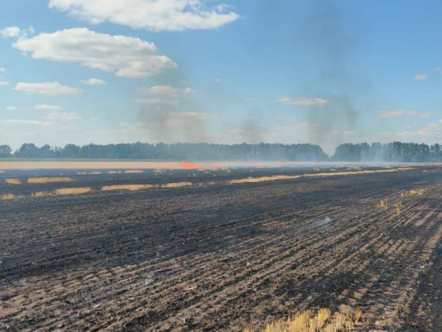 Через ворожий  обстріл у Криворізькому районі згоріло 4,5 га поля з пшеницею