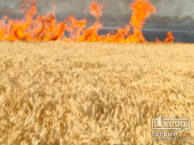 Ворог повторно обстріляв поле з пшеницею у Криворізькому районі