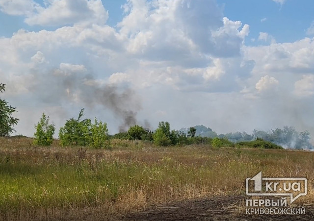 Российские войска несколько раз в день обстреляли Криворожский район