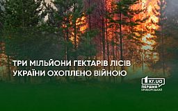 Около полувека восстановления: последствия войны для лесов Украины