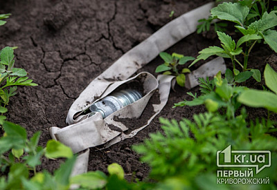 Фото к новости Главное фото новости