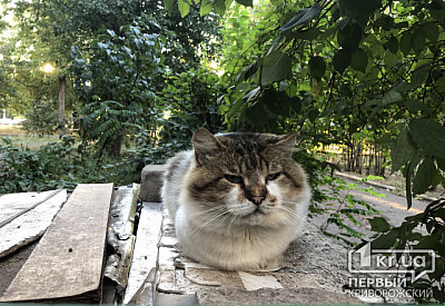 Фото к новости Главное фото новости