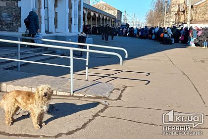 Понад 9 мільйонів українців виїхали з країни з початку війни, — ООН