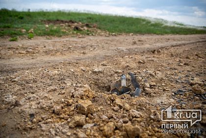 За добу піротехніки знищили 5 боєприпасів у Криворізькому районі