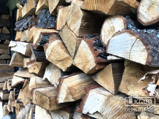 В Украине в этом году создали рекордный запас дров