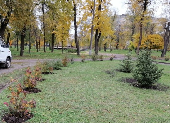 За год в Кривом Роге высадили 10 500 деревьев и кустов
