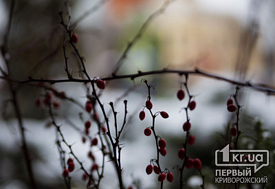 Фото к новости Главное фото новости