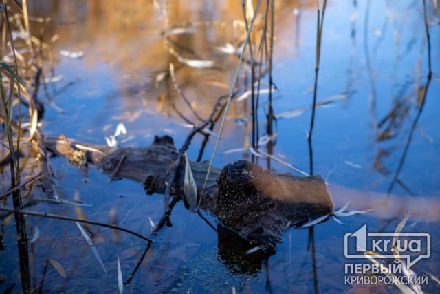 У Кривому Розі у водоймі знайшли тіло чоловіка