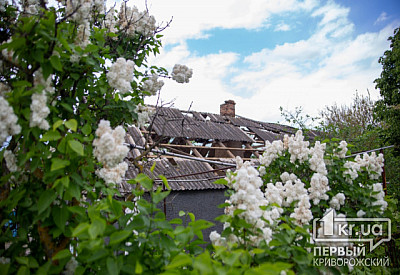 Фото к новости Главное фото новости