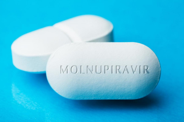 Днепропетровщина получит более 1,5 тысяч курсов препарата от коронавируса «Молнупиравир»