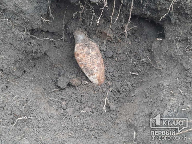 В Криворожском районе нашли устаревший боеприпас