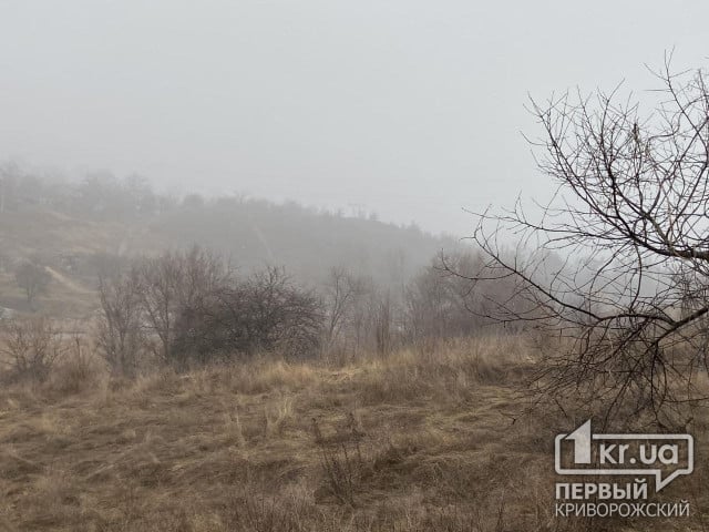 Погода в Кривом Роге 19 февраля