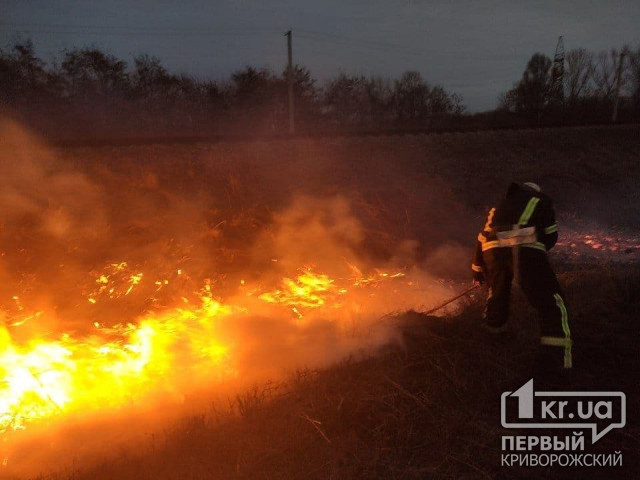 В Криворожском районе за выходные 10 раз горела трава