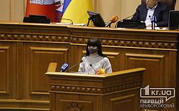 Депутаты Кривого Рога проголосовали «за» петицию об открытии приюта для бродячих собак