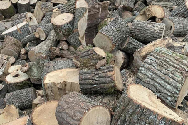 Мешканці звільненої від Росії Херсонщини отримають дрова і «буржуйки» - Верещук