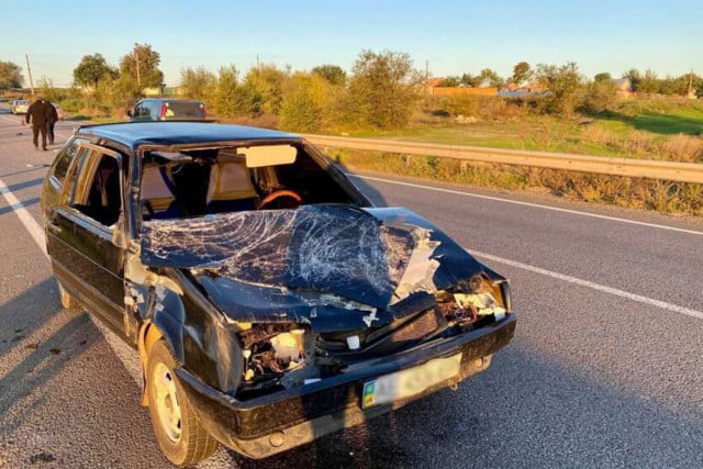 У Криворізькому районі збили жінку з вагітною коровою