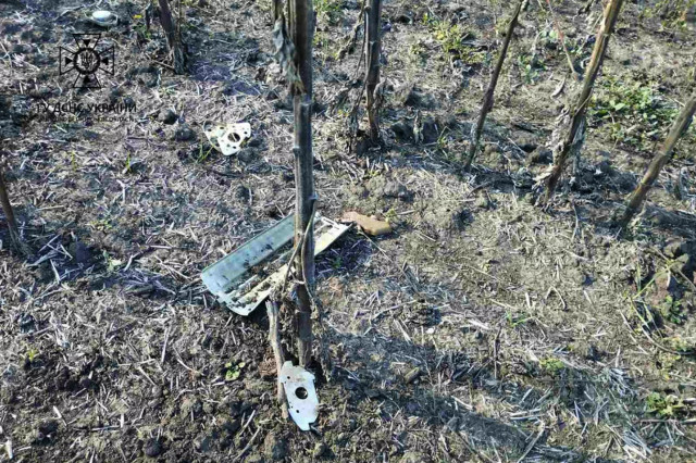 В Криворожском районе обезвредили 31 фугасную мину