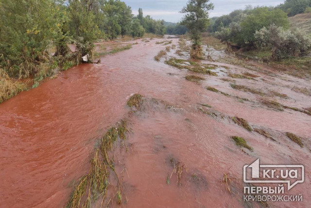 Ущерб окружающей среде в результате загрязнения реки Ингулец составил более 77 млн гривен — Госэкоинспекция