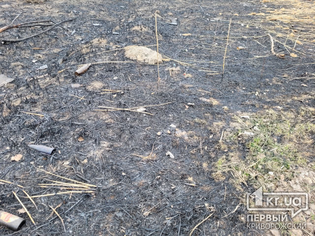 За день у Криворізькому районі згоріло майже 9 гектарів сухої трави