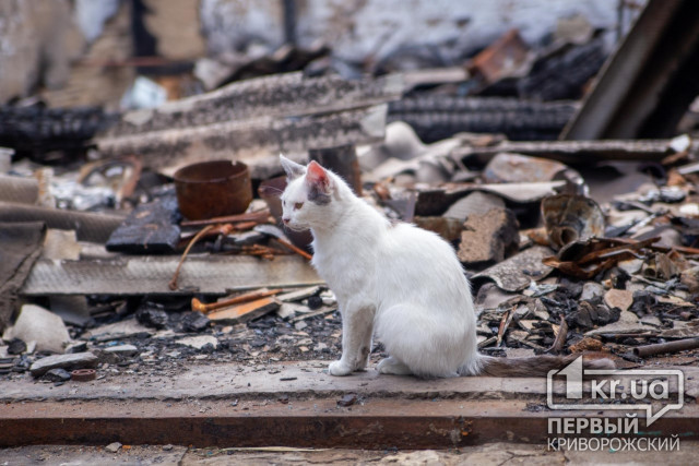 В Криворожском районе разрушены более 30 домов с начала войны