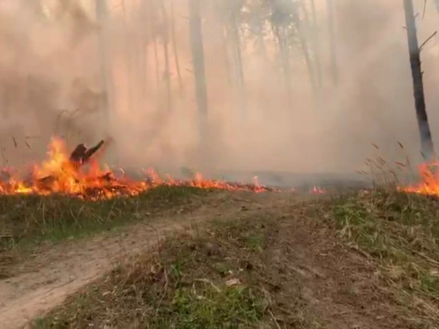 Мешканців Дніпропетровщини попереджають про надзвичайну пожежну небезпеку