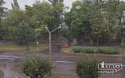 Во время ливня в Кривом Роге упали несколько деревьев
