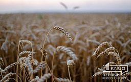 Аграрии Криворожья собирают урожай пшеницы и ячменя