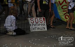 Не допустить трибунала над военнослужащими ВСУ, — в Кривом Роге состоялась акция