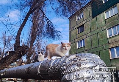 Фото к новости Главное фото новости