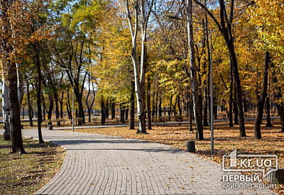 Фото к новости Главное фото новости