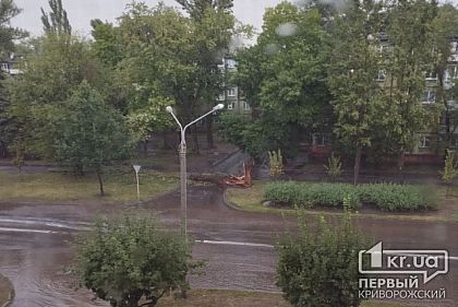 Из-за непогоды в Кривом Роге упали около 100 деревьев