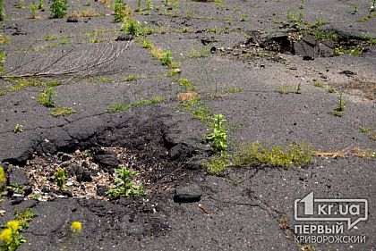 З початку повномасштабного вторгнення у Криворізькому районі загинули 17 людей