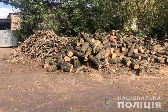 В Кривом Роге разоблачили преступников, которые незаконно вырубывали лес
