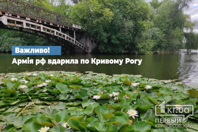 Криворізький район під ударом — Лукашук