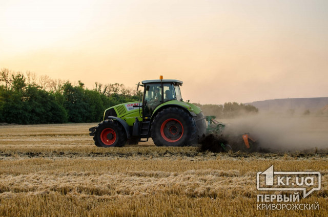 Чи буде в Україні дефіцит пшениці