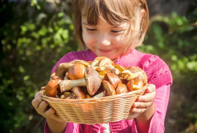 На Днепропетровщине двухлетний ребенок отравился грибами