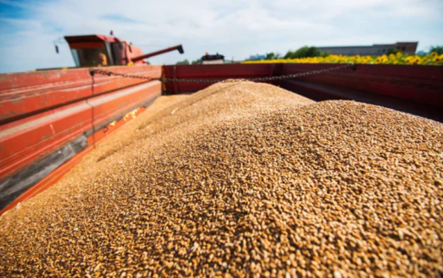 Украина почти достигла довоенных показателей по экспорту зерна — Мининфраструктуры