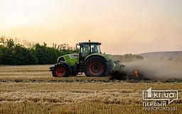 Будет ли в Украине дефицит пшеницы